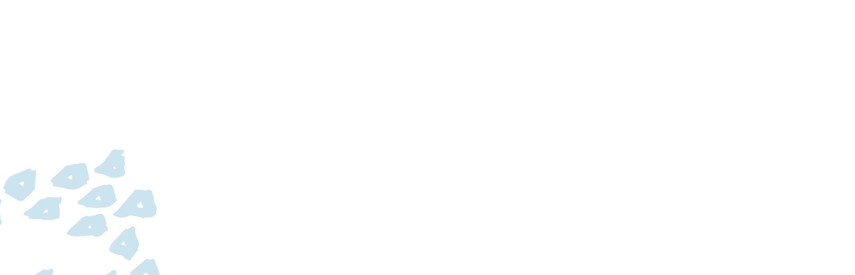 Conservation Pattern