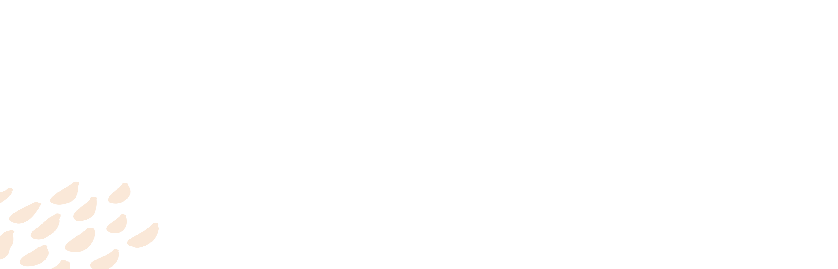 Conservation Pattern