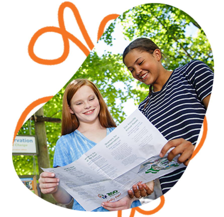 two friends looking at zoo map