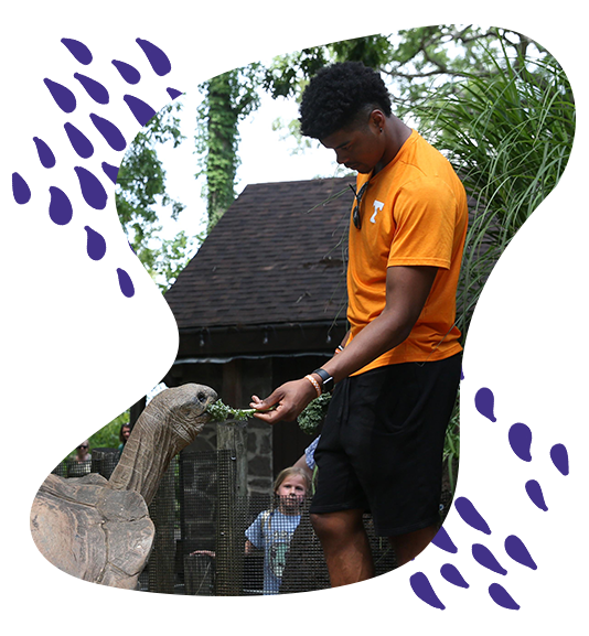 college-aged member feeding a tortoise