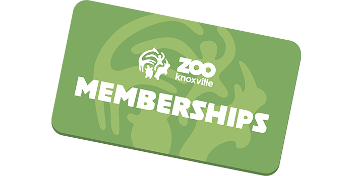 green card that says Zoo Knoxville Memberships