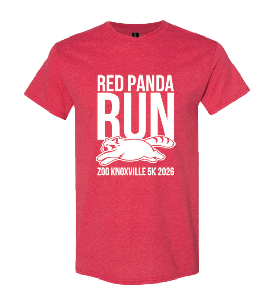 Zoo Knoxville Red Panda Run 5K - Red Panda Run 5K