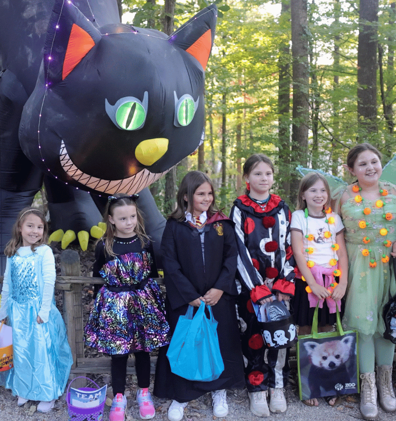 Children in their Halloween costumes enjoying Boo! At At The Zoo at Zoo Knoxville