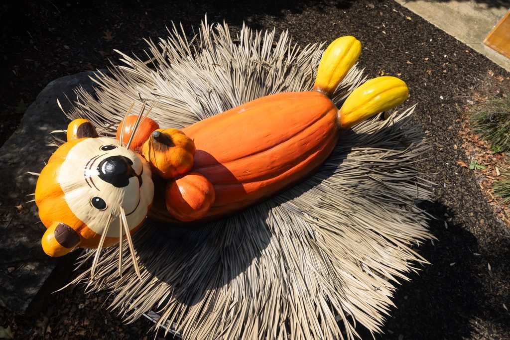 Otter prop made of pumpkins