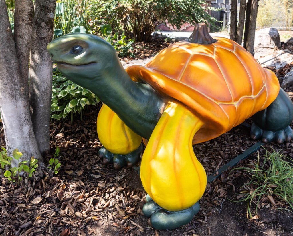 Turtle prop made of pumpkins
