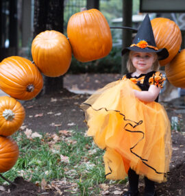 Little girl at halloween with pumpkins dressed up