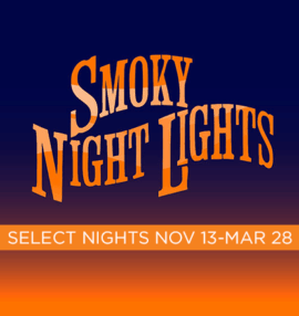 Smoky Night Lights Logo