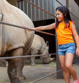 Girl petting rhino.